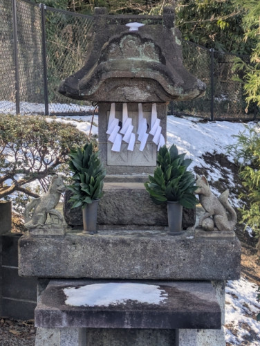 狐.jpg