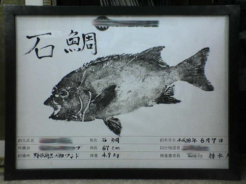 DSC00222.JPG