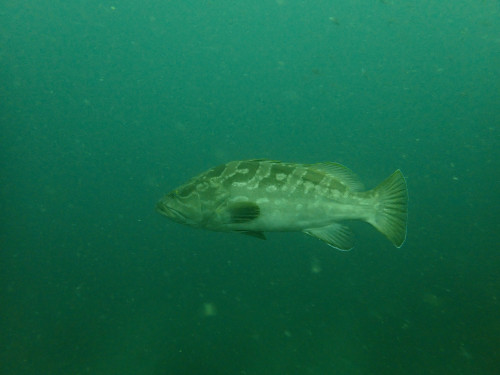 P7081656.JPG