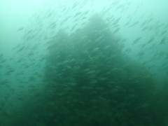 IMG_6394.jpeg