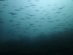 IMG_6393.jpeg