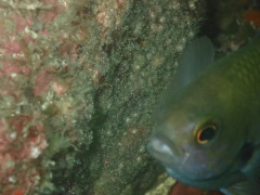 IMG_6395.jpeg