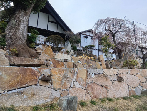 お寺の庭園.jpg
