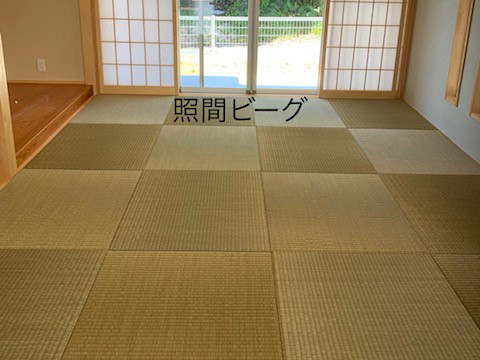 照間ビーグ.jpg