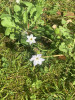 IMG_0778.jpeg