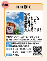 koko-saku.jpg