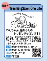 one-life.jpg