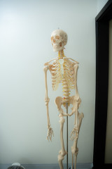 _DSC1026.jpeg
