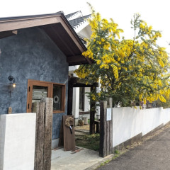 ぼかし丸_20260622_132033.jpg
