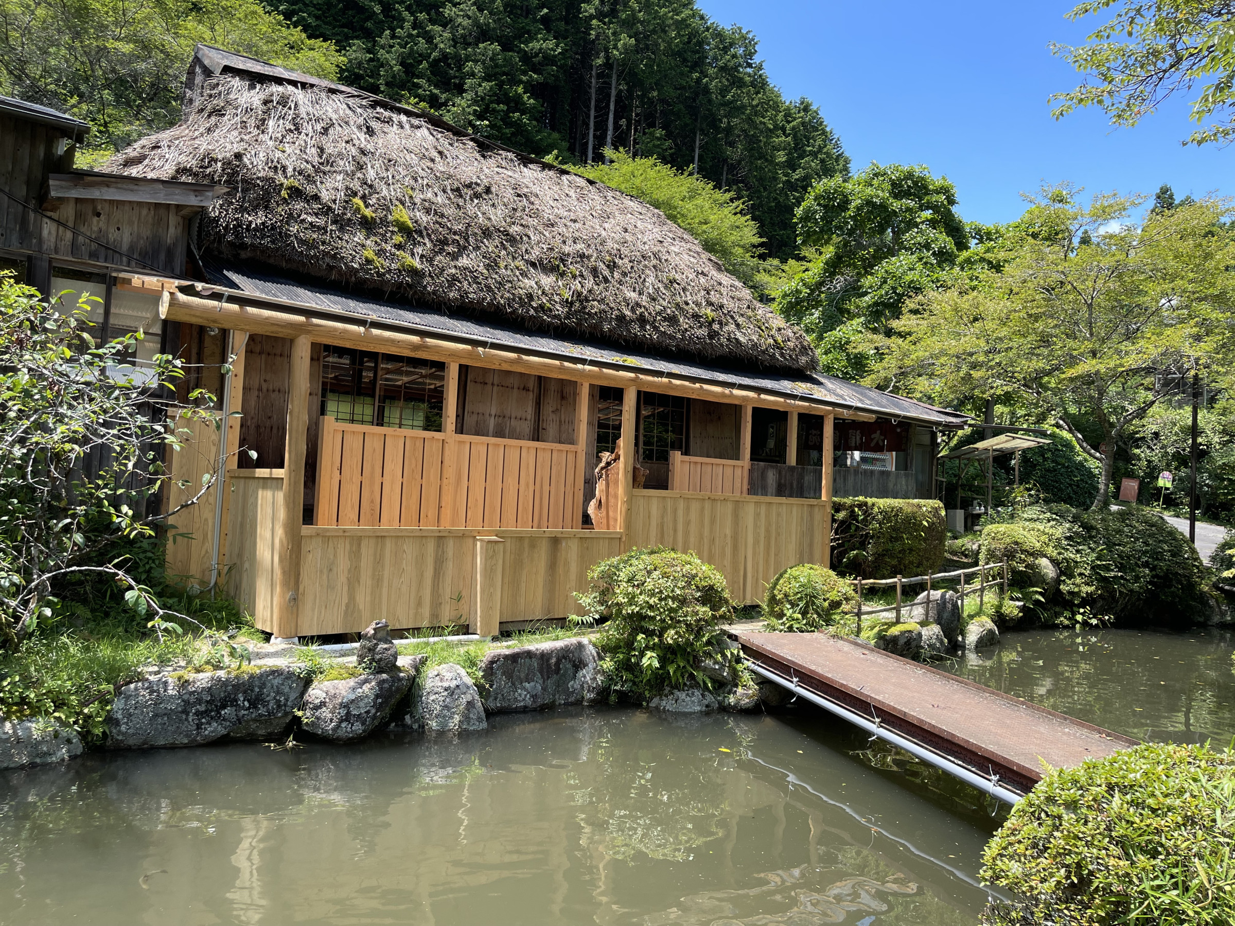 公の場での発言・インタビュー報道記録