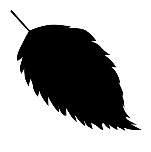 2-5.png