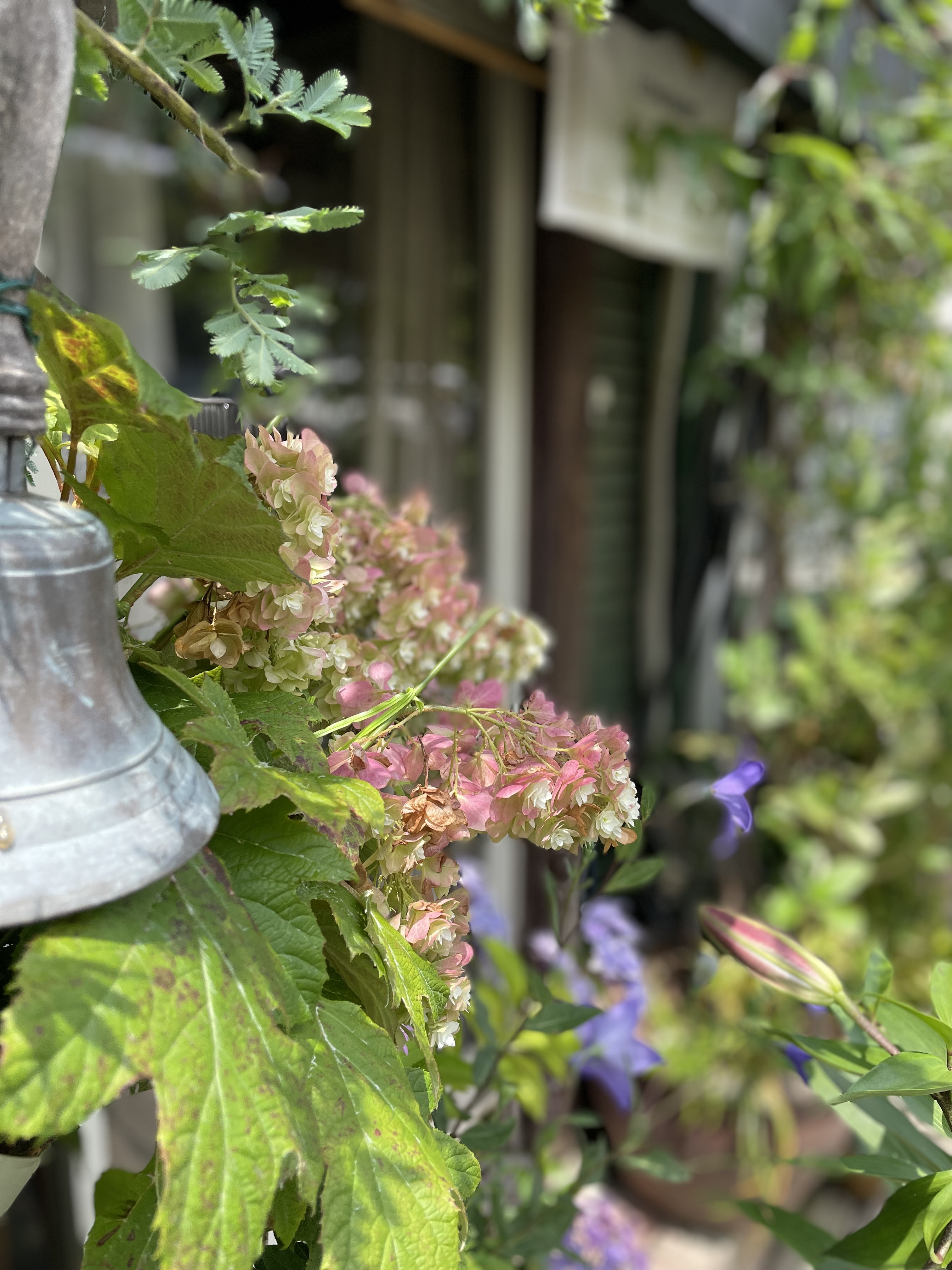 IMG_0409.jpeg