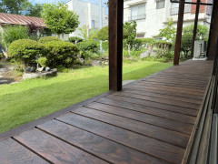 S__397459468_0.jpg