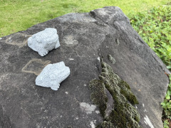 S__397492246_0.jpg