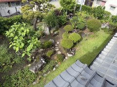 S__397492269_0.jpg
