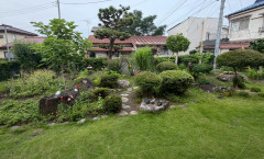 LINE_ALBUM_花や草木の写真_260701_1.jpg