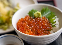 ikura_image_03.jpg