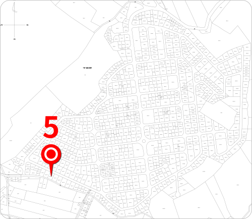 5.png