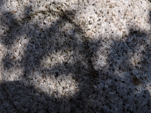 P7091577.JPG