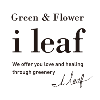 iLeaf