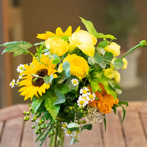 bq3_013.jpg