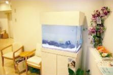 病院に設置した水槽2