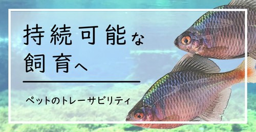 持続可能な飼育へ　ペットのトレーサビリティ