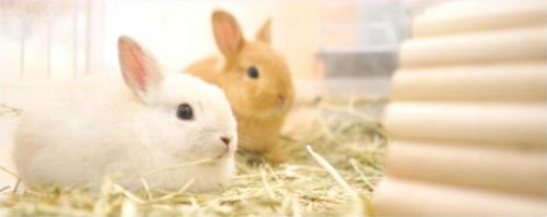 生きものとお客様が幸せに暮らせる日々を
