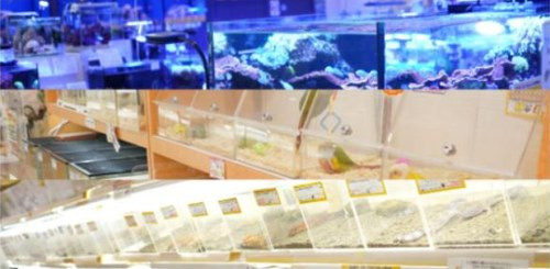 売場の様子