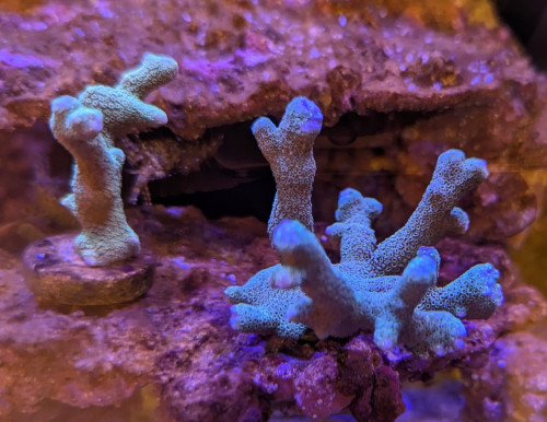 IMG_0063.jpeg