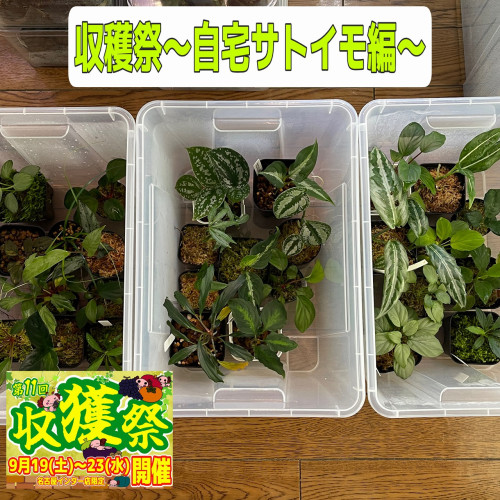 image0.jpg