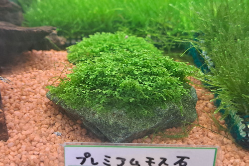 20260920_111735.jpg