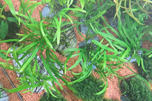 20260920_111846.jpg