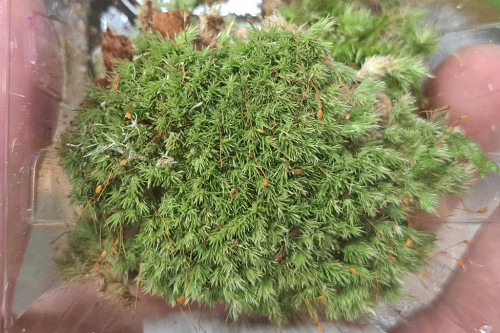 20260920_112857.jpg