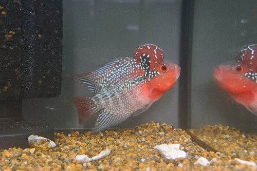 20260921_172829.jpg