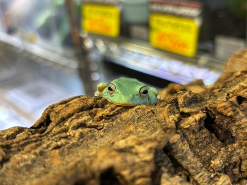 LINE_ALBUM_20260922_260925_10.jpg