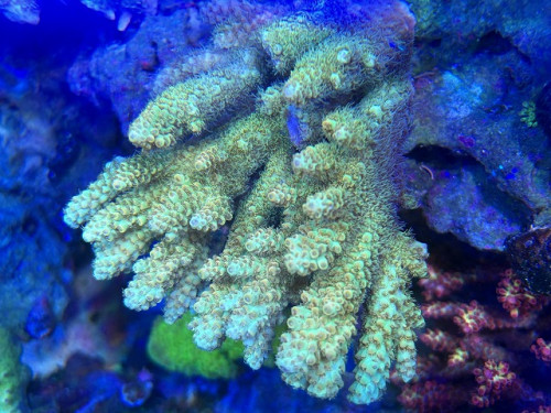 IMG_3759.jpg
