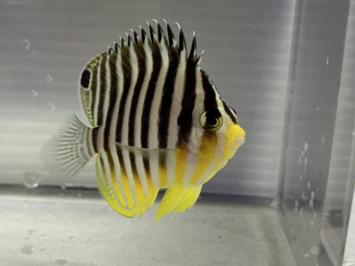 IMG_0416.jpeg