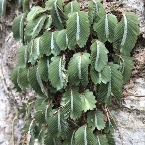 image1.jpg