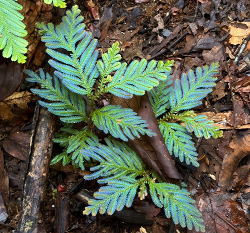 image12.jpg