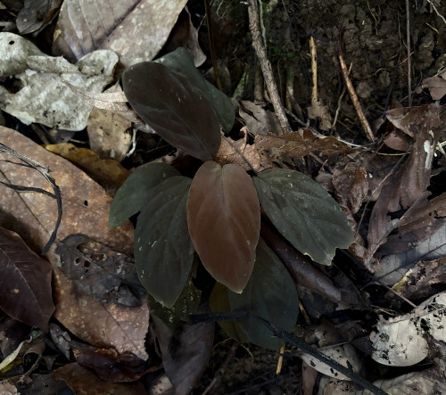 image13.jpg