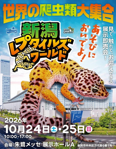 新潟レプ.jpg