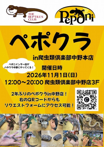 ペポクラin中野店.jpg