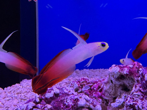 IMG_0790.jpeg