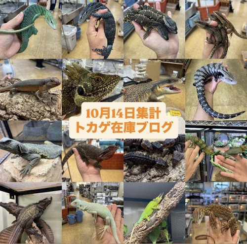 S__267878415.jpg