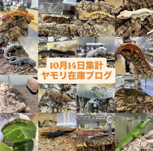 S__267878414.jpg