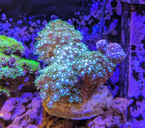 IMG_0923.jpeg