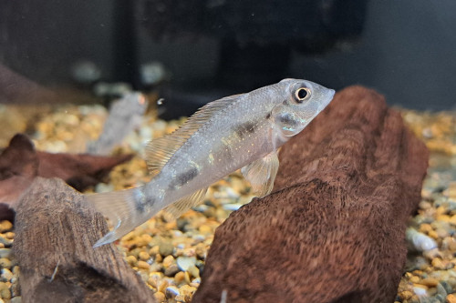 20261019_194658.jpg