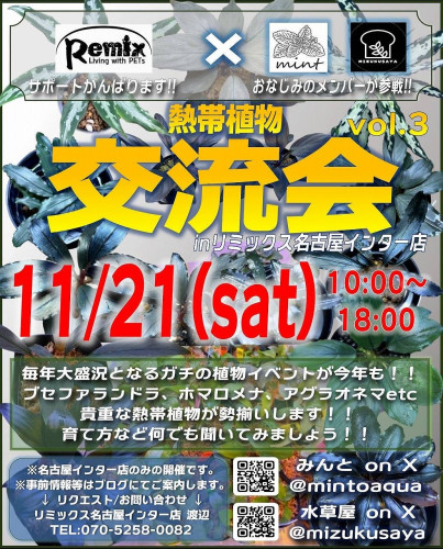image0.jpg
