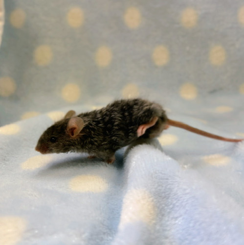 IMG_7641.jpeg